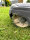 Spikes Traktionshilfe Husqvarna Rasenroboter Mähroboter 310 / 315 / 315X VA